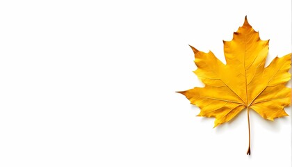 Fototapeta premium Maple leaf on white background, Ai Generated
