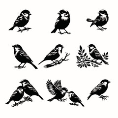 Sparrow silhouette vector image illustration