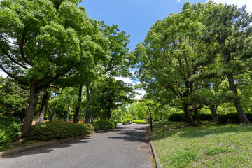 都立猿江恩賜公園（東京都江東区毛利２丁目）