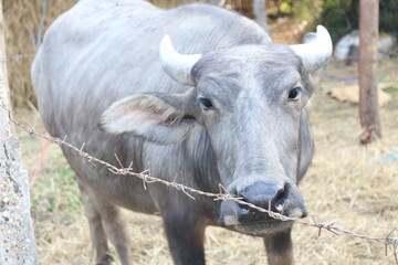 Recognizable people or property?