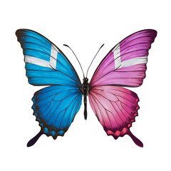 butterfly isolated on transparent background 