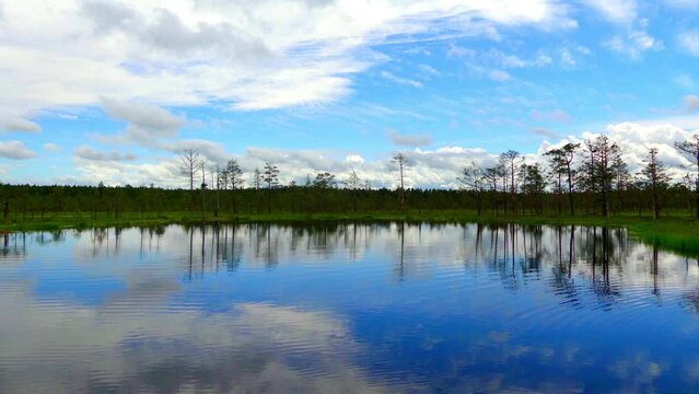 Swamp Viru Raba in Estonia