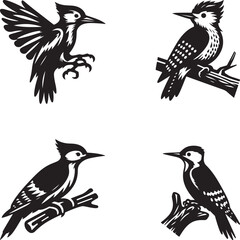 A set of  Woodpecker birds silhouette image