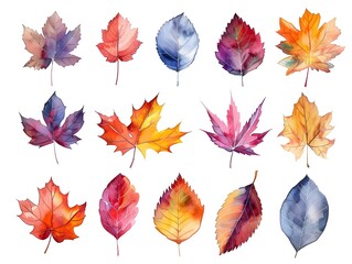 Obraz premium Vibrant Watercolor Autumn Leaves in Rich Hues of Orange and Red on White Background