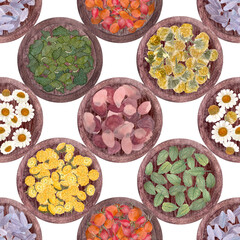 Different herbs, plants on plates seamless pattern. Lemon balm, chamomile, rose hips, tansy, lavender watercolor art isolated on white. Hand painted great for packages, tea, infusions, recipes design