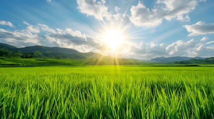 Fototapeta premium Stunning Scenic Landscape of Lush Green Countryside Meadow with Sunlight and Majestic Mountains on