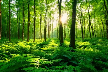 Lush Green Forest With Ferns And Sunbeams