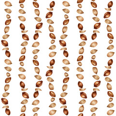 Seamless pattern with watercolor apricot kernels and seeds for design templates for fabric, textiles, wrapping paper, wallpapers, apricot oil in medicine, aromatherapy, cosmetology and cooking