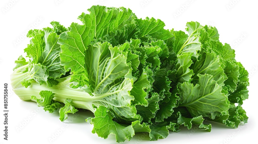 Wall mural Photo of Chinese Broccoli - Brassica oleracea var. alboglabra position center isolate on white background, clear focus, soft lighting - Wall murals