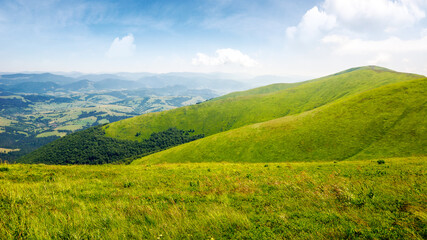 carpathian mountain landscape of ukraine in summer. natural scenery of alpine grassy hills and meadows on a sunny day. mnt. magura zhyde in the distance. popular travel destination of transcarpathia