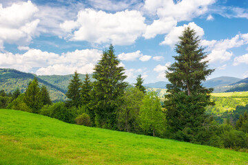Fototapeta premium natural scenery with hills and meadows. rural valley in the distance. sunny afternoon in summer. beautiful countryside landscape of ukrainian carpathians in dappled light beneath a sky with clouds