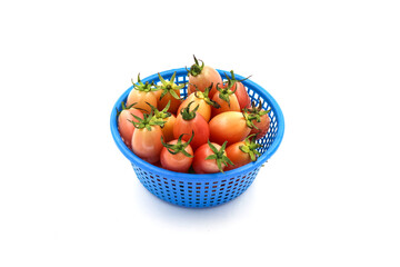 tomatoes isolated on white background