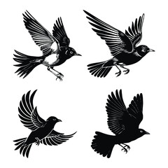 Bird Black Color Vector Illustration Set
