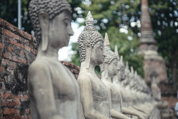 Obraz premium A serene row of ancient Buddha statues in a historic temple, with the foreground statue prominently detailed against a softly focused background. Wat Yai Chai Mongkol Ayutthaya , Thailand 