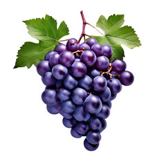 Fototapeta premium A bunch of plump, juicy purple grapes with a glossy finish, set against a clean background. Perfect for snacking or wine making.