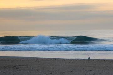 waves on the beach