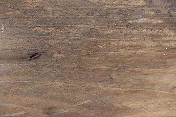 Old wooden texture for background that has natural cracks.