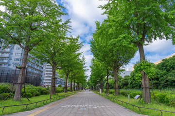 光が丘公園 ふれあいの径