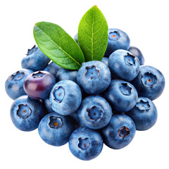 blueberries on white background