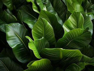 A vibrant array of tropical leaves and flowers background