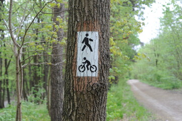Trail mark or traffic sign painted on trees showing direction for hikers on hiking trails in forest in Poland, Europe