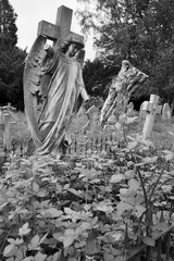 Black and white Stone angel grave marker with damaged arm in cemetery.