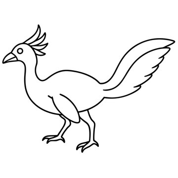 recommend clip art: Vector Archaeopteryx line art silhouette illustration