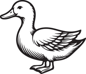 Duck silhouette outline vector illustration.