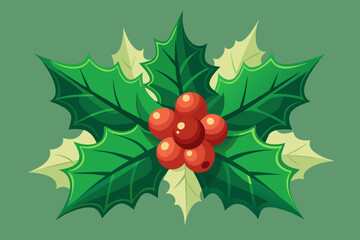 Christmas holly berry leaf vector illustration