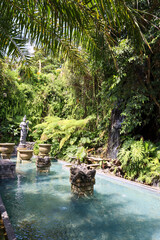 Amazing tropical garden in Bali