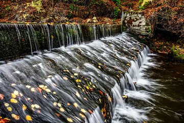 Stream in forest, autumn in october