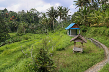 hut in the countryside near Gunung Kawi Temple