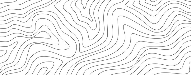 abstract wavy background. topographic contour background. contour lines background. Topographic map contour background.