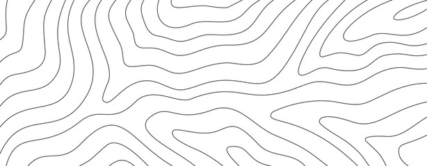 abstract wavy background. topographic contour background. contour lines background. Topographic map contour background.