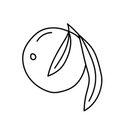 Acai berry in doodle style. Vector isolated on white background