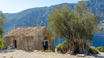 Ruins of Byzantine church on island Camellia in Aegean Sea, Turkey. Olive tree of wishes. Boat...