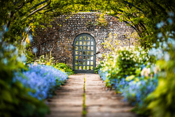 Tunnel of trees and flowers in front of garden gate in old mansion, Preston Manor Garden, Brighton,...