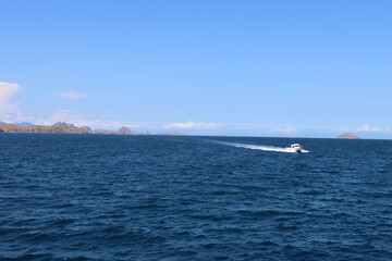 Obraz premium motor boat in the sea