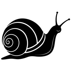 snail on a white background vector illustration