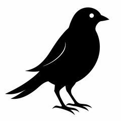 silhouette of a crow