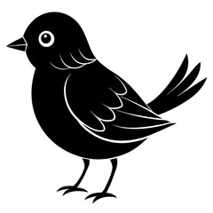 bird on a white background