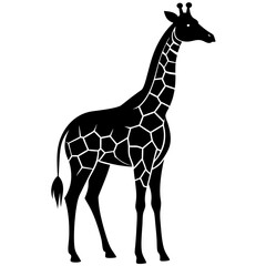 Obraz premium giraffe vector illustration