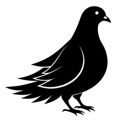pigeon silhouette vector