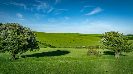 Aerial view of green fields and agriculture fields in East Sussex, UK