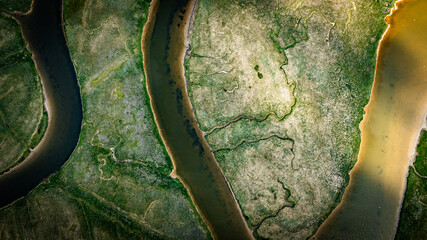 Aerial view of curvy river in sunlight by the Seven Sisters cliffs, East Sussex, UK