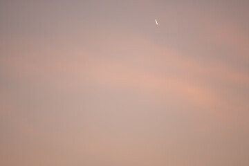 CIELO NOCTURNO