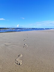 
Baltic coast