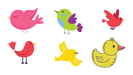 A set of bird vector collection