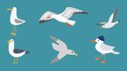 Fototapeta premium A set of bird vector collection