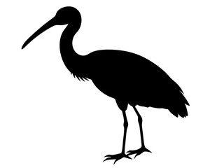 heron in the morning